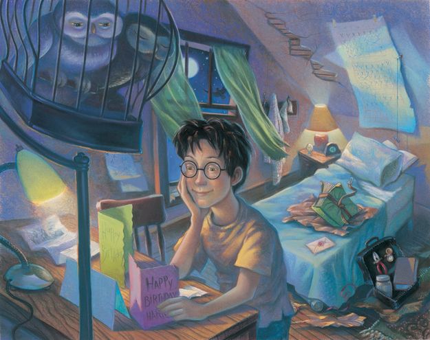 173b076f1a34bce3f0f84917ff054540--harry-potter-illustrations-book-illustrations