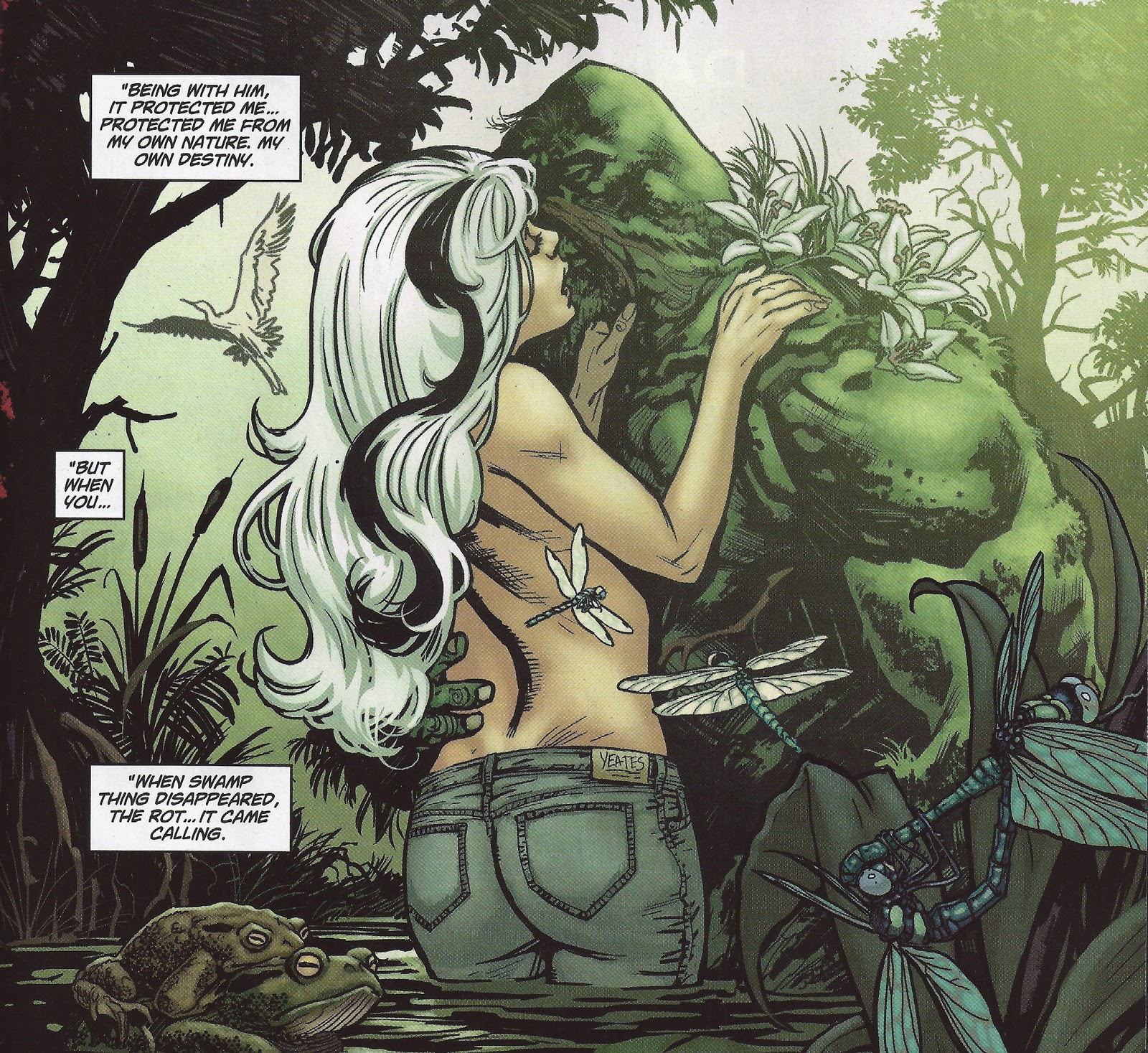 swampthing3_paquettesnyder