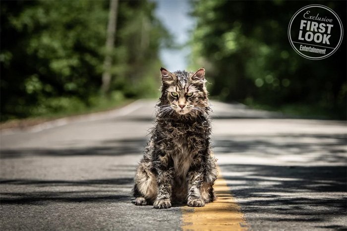 pet-sematary-remake-cat-churchill-1137225