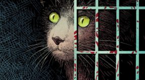Tom King and Peter Gross team up for New series ‘Animal Pound’ for BOOM! Studios